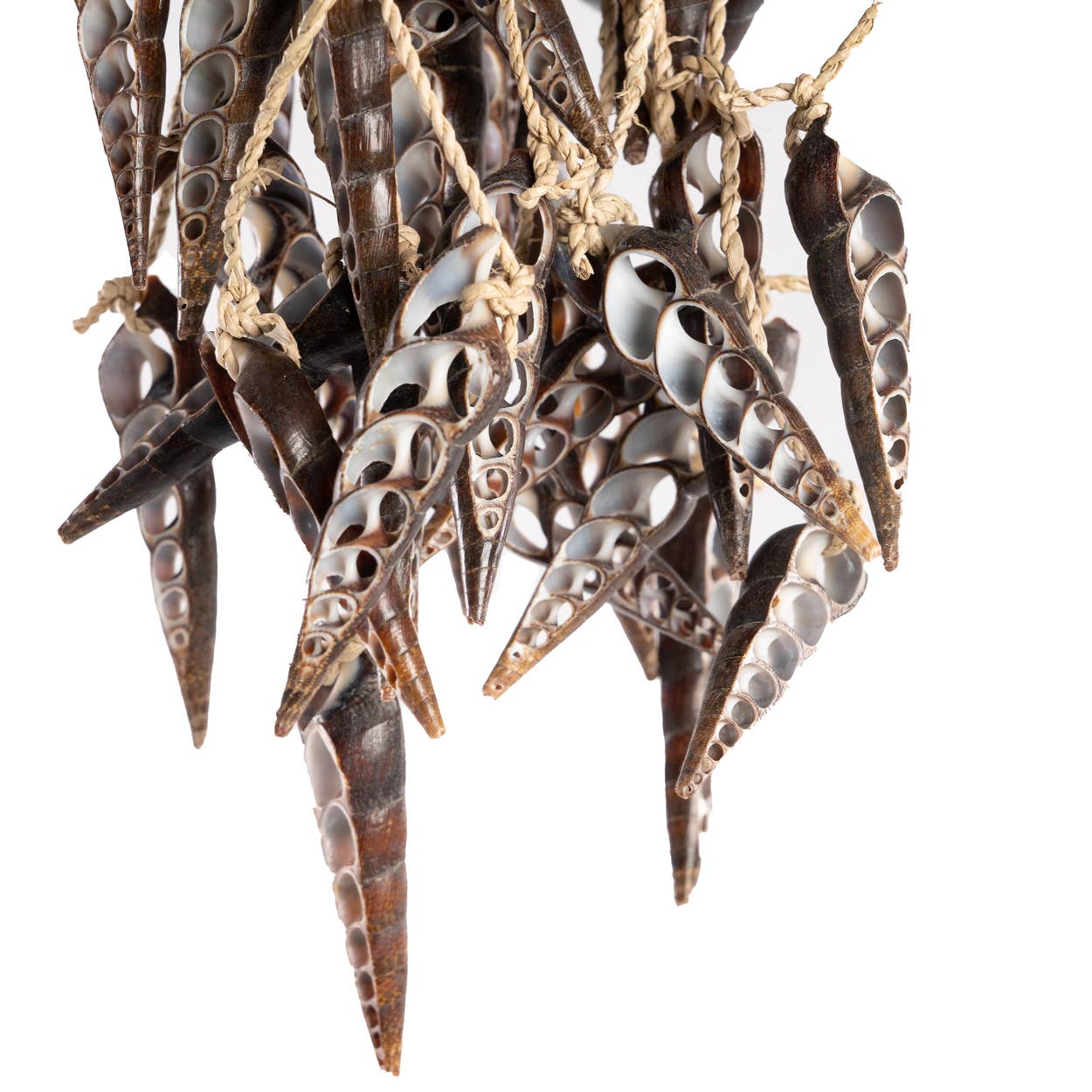 Suspension décorative en coquillages