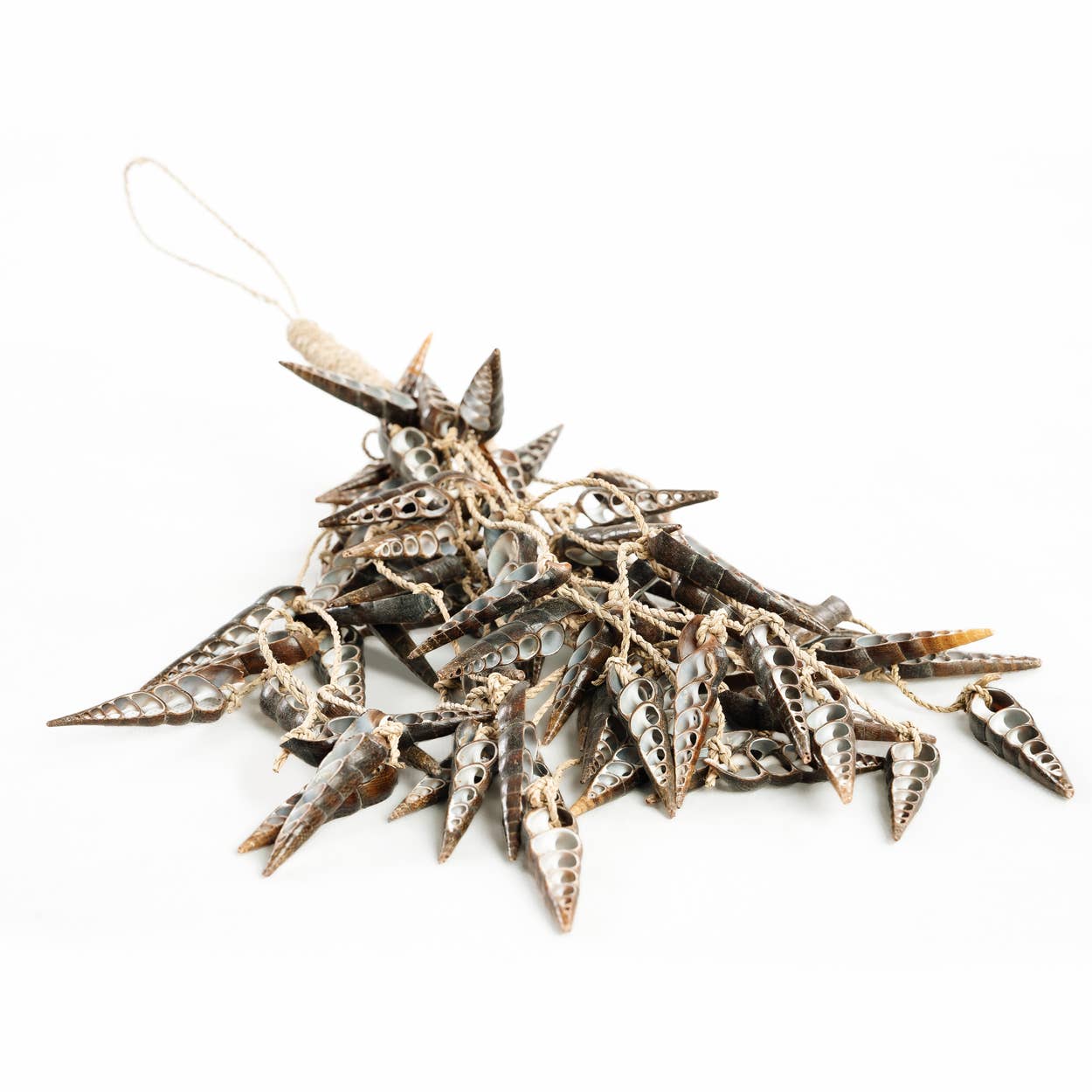 Suspension décorative en coquillages